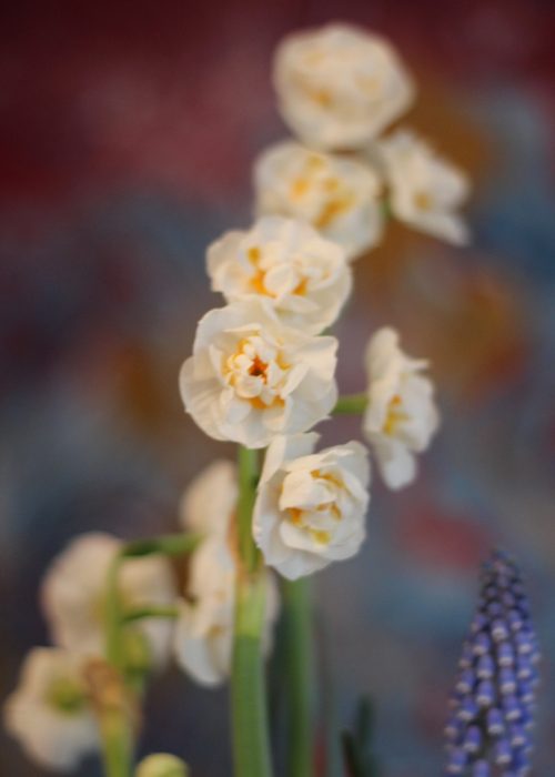 Frühling