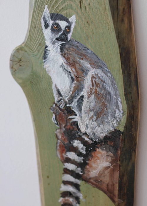 lemur allein